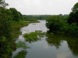 205  320x240 north carolina river Featured Items