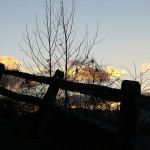 Fence and sky