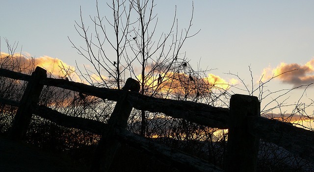 Fence and sky